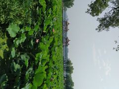 -长春市南湖公园