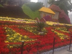 iphone_upload_pic-迎泽公园