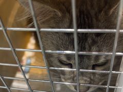 -心仪动物医院·牙专科·肿瘤·心脏科(西客站院)