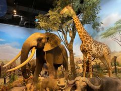 -陕西自然博物馆