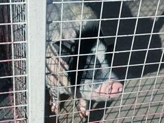 -金庭庄园酒店-停车场