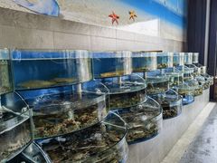 -蓝珊甄选海鲜自助·火锅大排档(近阿那亚店)