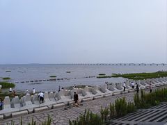 -南汇新城海滩