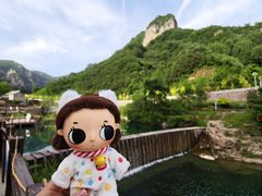 -王莽岭风景区