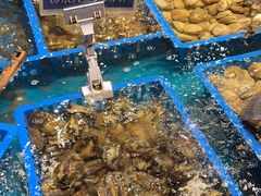 -御品海宴海鲜自助餐厅(龙岗万科广场店)