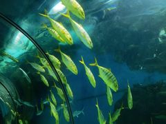 -福州罗源湾海洋世界旅游区