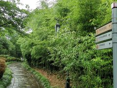 -兰亭风景区