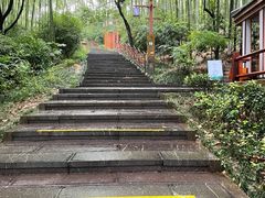 -天目湖山水园