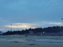 -日照海滨国家森林公园