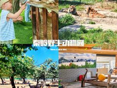 -西安秦岭野生动物园