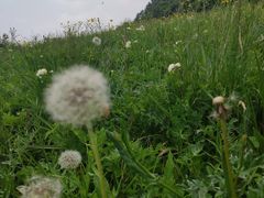 -白草畔自然风景区