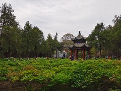 -洛阳白马寺
