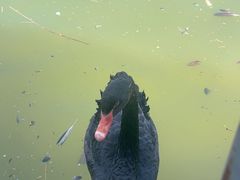 -新疆天山野生动物园