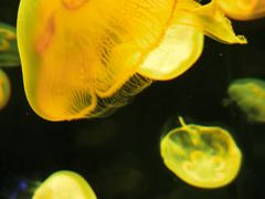-杭州野生动物世界