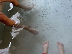-徂徕山森林康养度假谷温泉