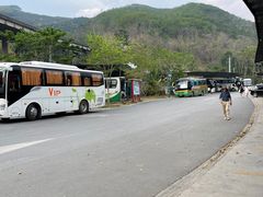 -西双版纳原始森林公园