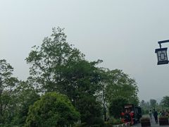 -径山花海