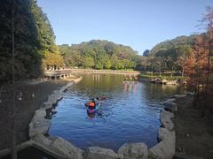 -广州市帽峰山景区