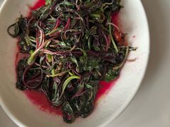 -樱㳊音乐餐酒吧