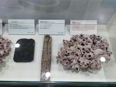 -中国第四纪冰川遗迹陈列馆