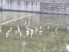 -白鹭湾湿地公园