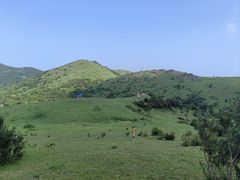 -大姆山草场