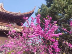 -苏州文庙(姑苏区)