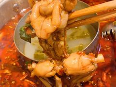 鲜活牛蛙-蛙两只美蛙鱼头火锅(恒茂店)