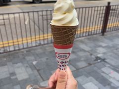 -富豪雪糕车流动点(尖沙咀)