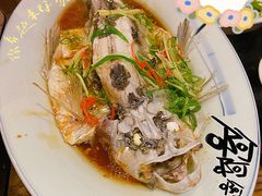 清蒸翘嘴鱼-醉美东江·三文鱼