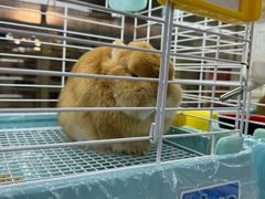 -三旗百汇商品城