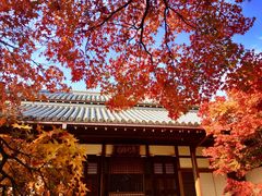 -常寂光寺