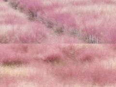 -嘉北郊野公园