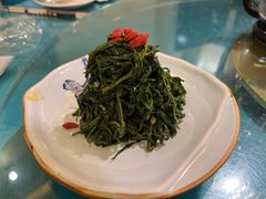 清香枸杞苗-国强手抓(北京西路店)