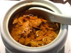 -大榕树下顺德菜(融创茂店)