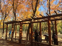 -竹叶涮肉坊(总店)