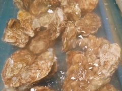 -火舞泰·泰式海鲜火锅餐厅(世纪城店)