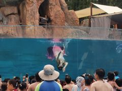 -武汉玛雅海滩水公园