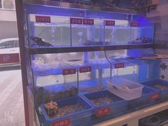 -小龍鳳·港式海鲜打边炉(沙湖路店)