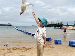 -海驴岛(荣成市)