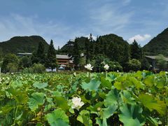 -贵阳市花溪国家城市湿地公园