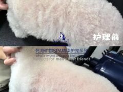 -汪小喵宠物·戴维斯乐芳希施宠馨宝皮毛调理洗护店