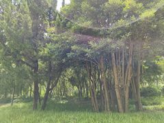 -狼山风景名胜区