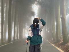 -武陵山森林公园