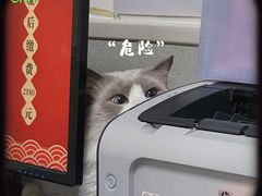 -谐和益家动物医院·免疫绝育·血液透析·宠保定点医院(高新伊藤分院)