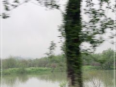 -婺源月亮湾