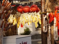 -同里国家湿地公园