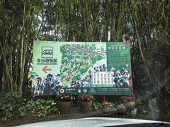 -海南热带野生动植物园