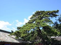 -潭柘寺景区