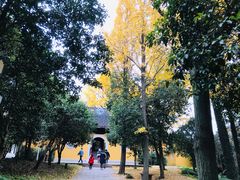 -苏州上方山国家森林公园